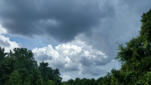 Low angle view of trees against cloudy sky