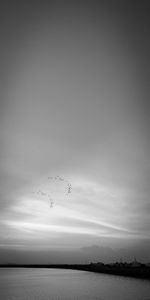 Birds flying over lake against sky