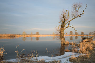 Scenic view of lake against sky during winter