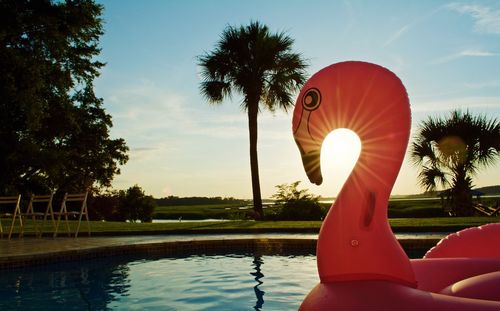 Sun shining over lake in front of park