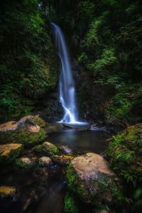 Scenic view of waterfall in forest against sky