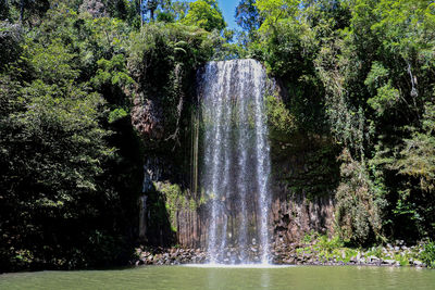 View of waterfall in forest