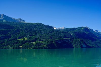 Scenic view of lake against clear blue sky