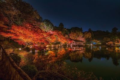 Autumn trees by lake against sky at night