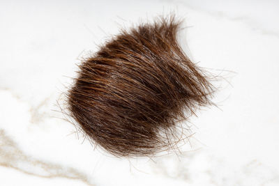 Close-up of woman against white background