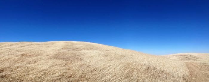 Scenic view of landscape against blue sky