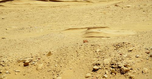 High angle view of sand on beach