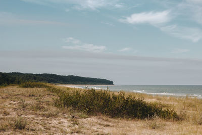 Scenic view of sea against sky