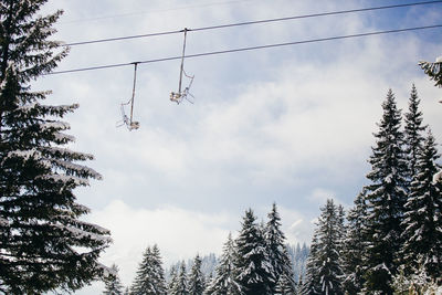 Low angle view of trees against sky during winter