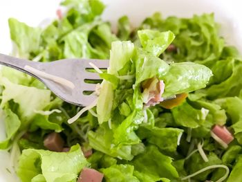 Close-up of salad in plate