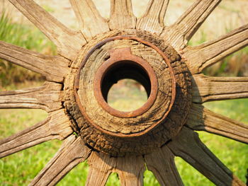 Close-up of old tree trunk