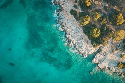 High angle view of swimming underwater