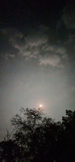 Low angle view of silhouette trees against sky at night