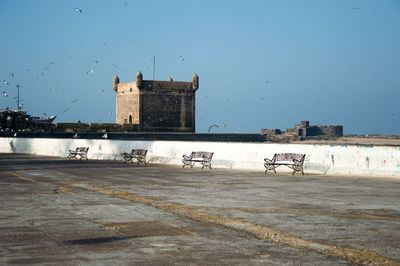 Birds in city against clear sky