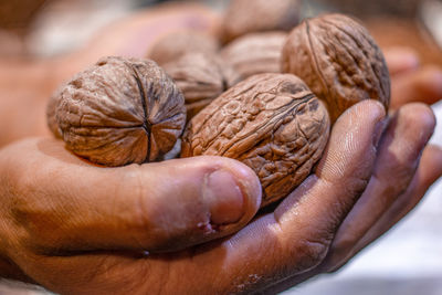 Close-up of hand holding bread