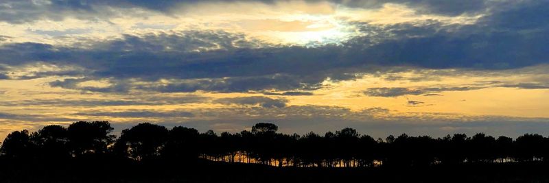 Silhouette trees against dramatic sky during sunset