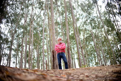 Low angle view of woman in forest