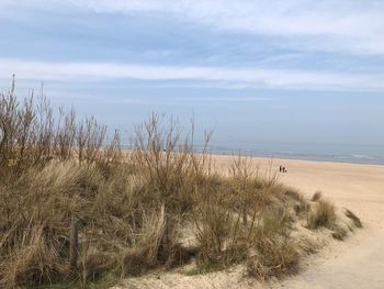 Scenic view of beach against sky