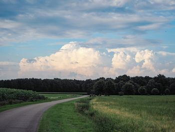 Scenic view of agricultural field against sky