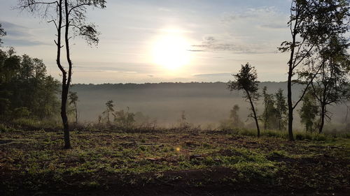 Scenic view of landscape at sunset