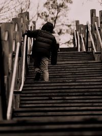 Rear view of man walking on staircase