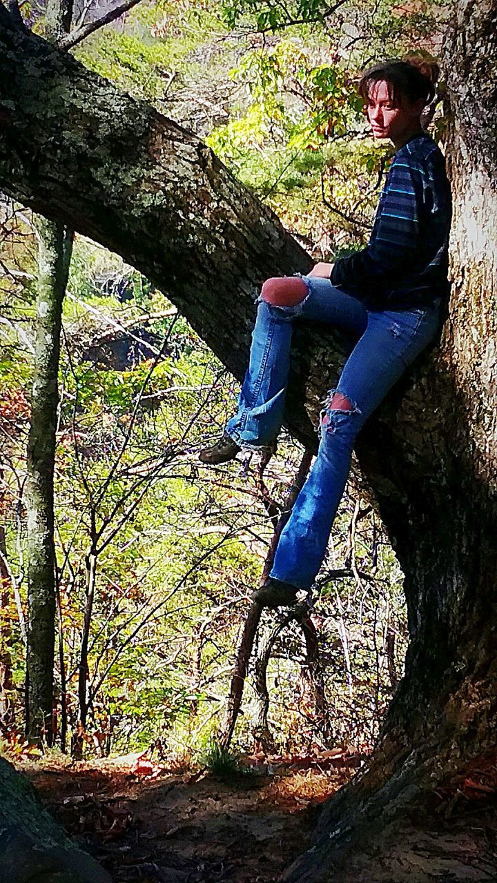 tree, one person, full length, leisure activity, real people, casual clothing, tree trunk, trunk, plant, lifestyles, forest, young adult, day, nature, side view, land, sitting, young men, men, outdoors, jeans, teenager