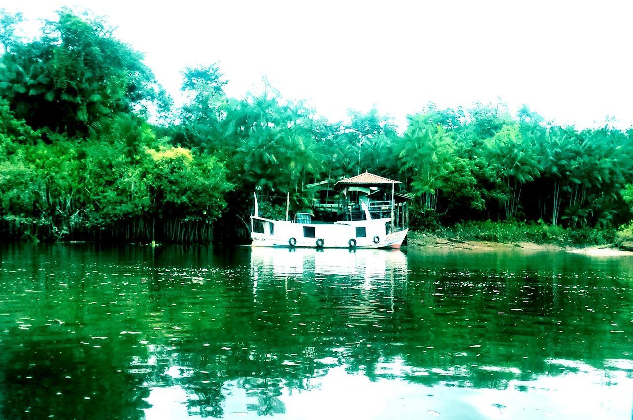 SCENIC VIEW OF RIVER AGAINST TREES