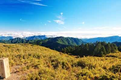 Scenic view of landscape against sky