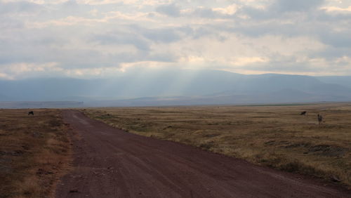 Dirt road amidst field against sky