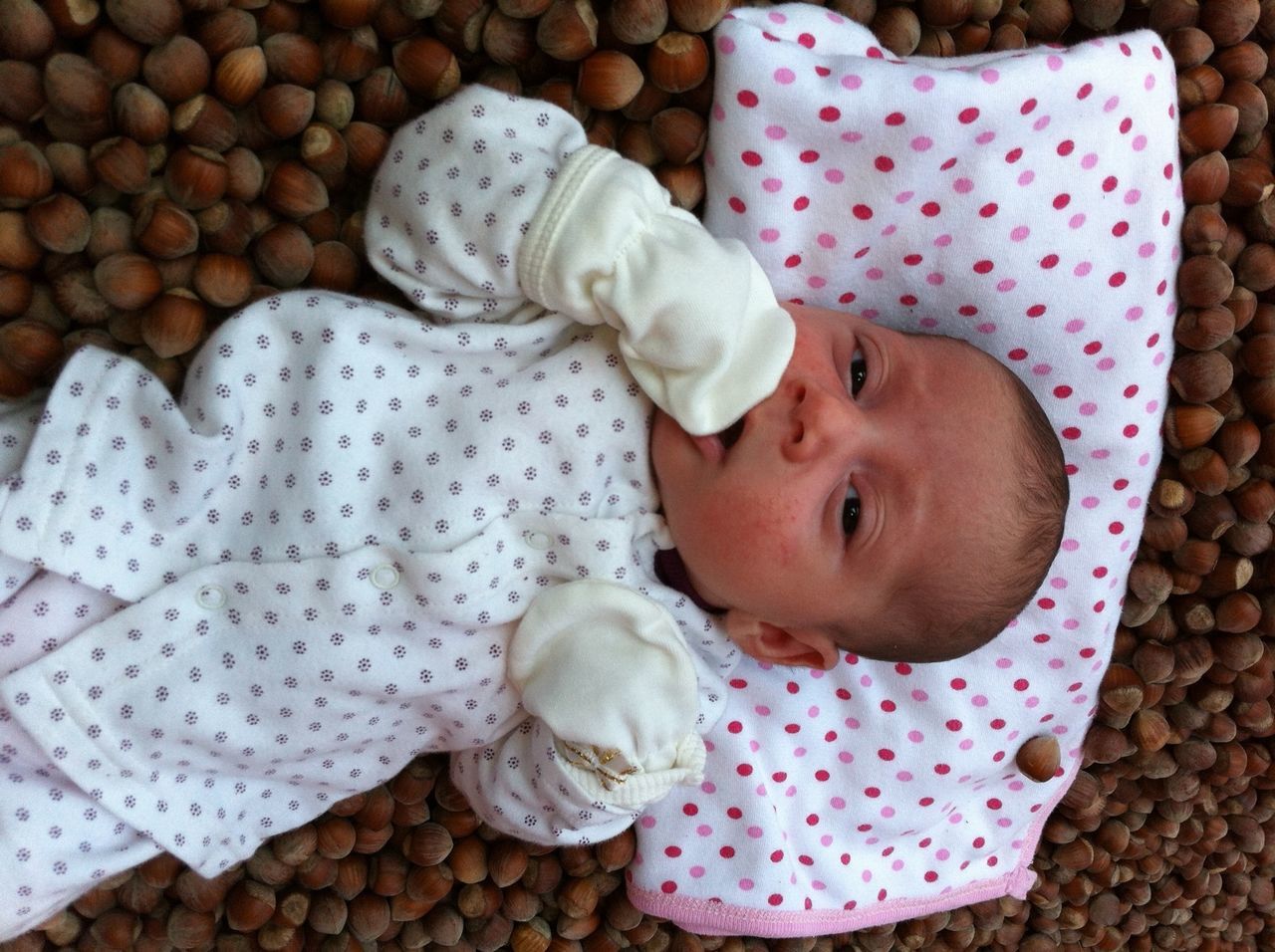 childhood, innocence, cute, baby, babyhood, elementary age, toddler, high angle view, unknown gender, girls, boys, relaxation, close-up, person, lifestyles, toy, sleeping, lying down