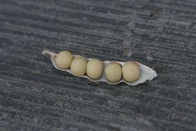 High angle view of eggs on table