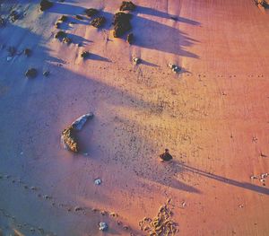 High angle view of shadow on wet sand