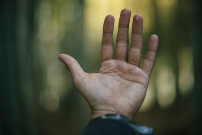 Close-up of human hand