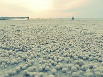 Scenic view of calm beach against sky