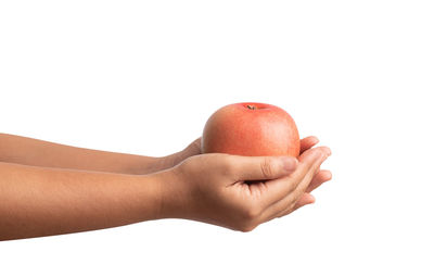 Close-up of hand holding apple against white background