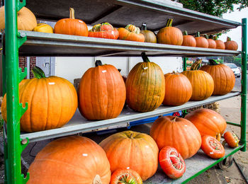 Pumpkins arranged on shelves for sale in market