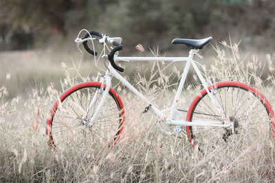 Bicycle parked on field