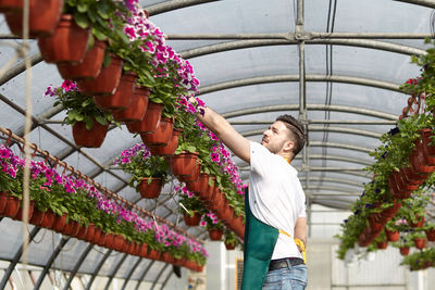 Woman standing by potted plants in greenhouse