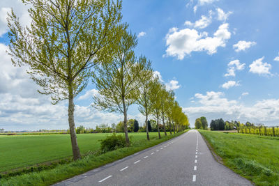 Tree lined road leading into the distance on dutch dike