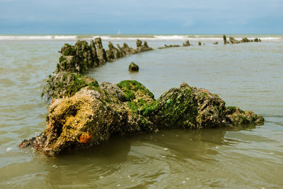 Leftovers of a shipwreck from a world war ship at a beach in northern france