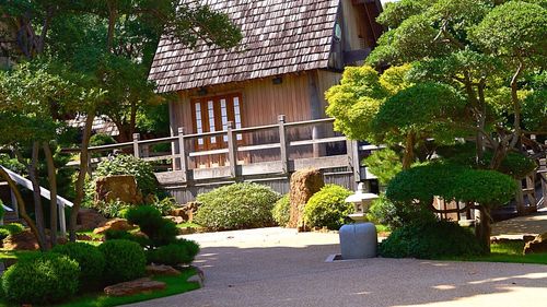 Plants against built structure