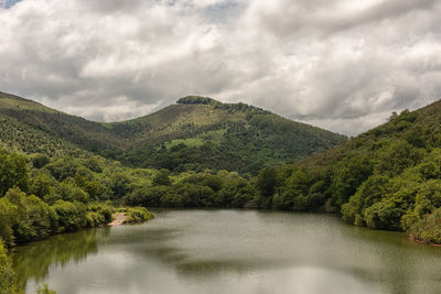 Scenic view of lake by trees against sky