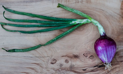 High angle view of vegetables on table