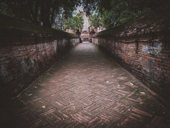 Narrow alley along trees