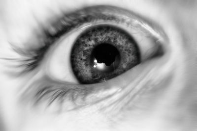 Extreme close up of human eye