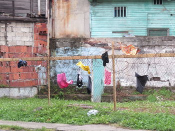 Clothes drying on barbed wire