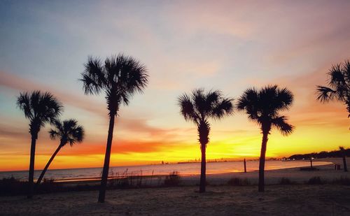 Silhouette palm trees on beach against sky during sunset