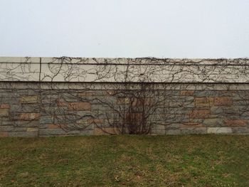Brick wall with brick wall