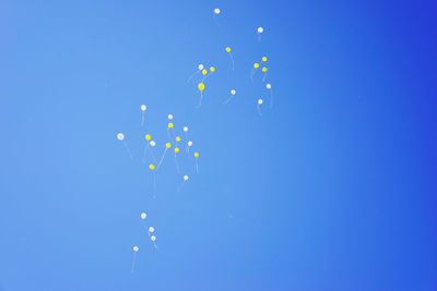 Low angle view of balloons against blue sky