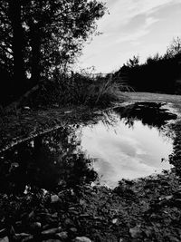 Scenic view of lake in forest against sky